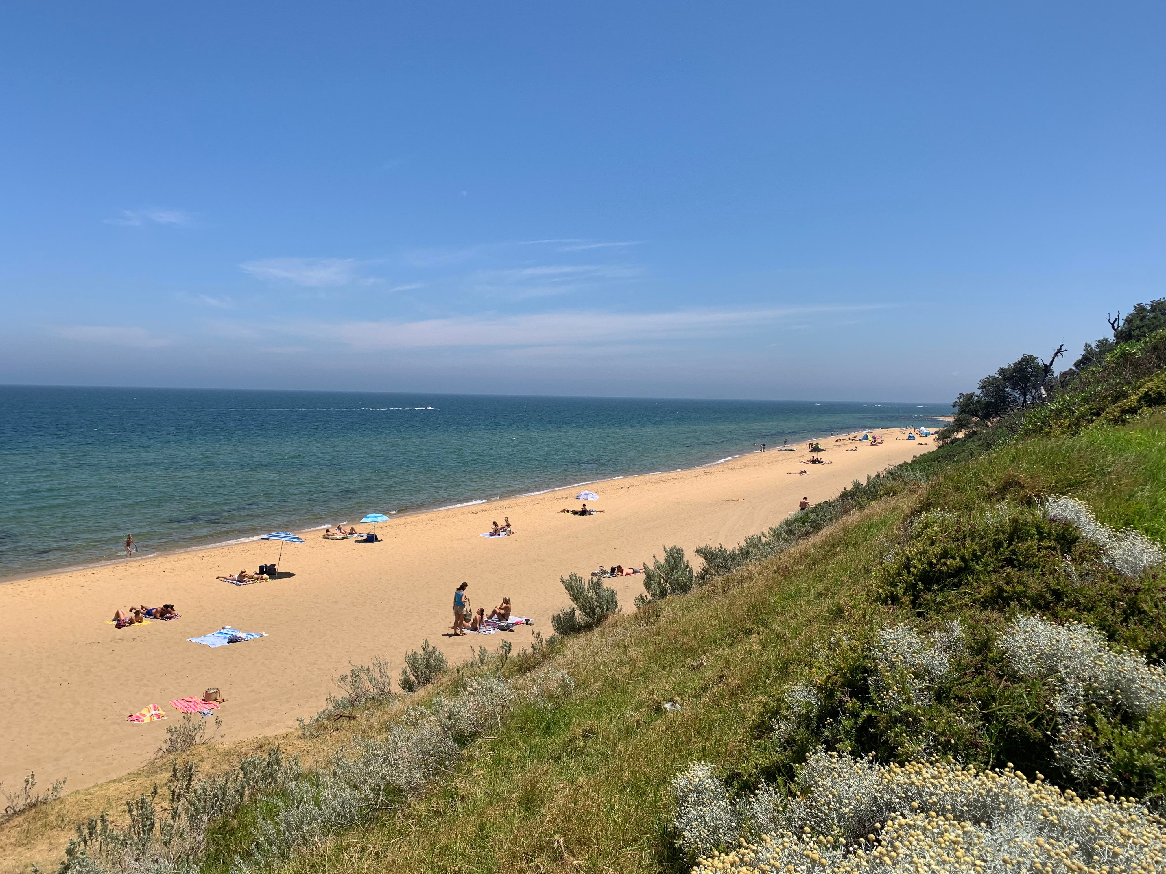 sandringham beach