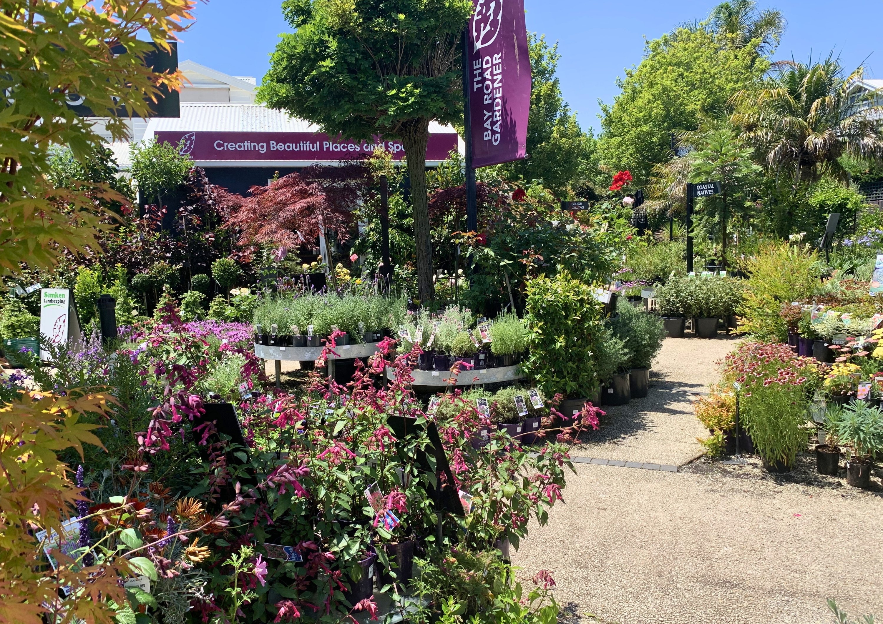 Bay Road Nursery