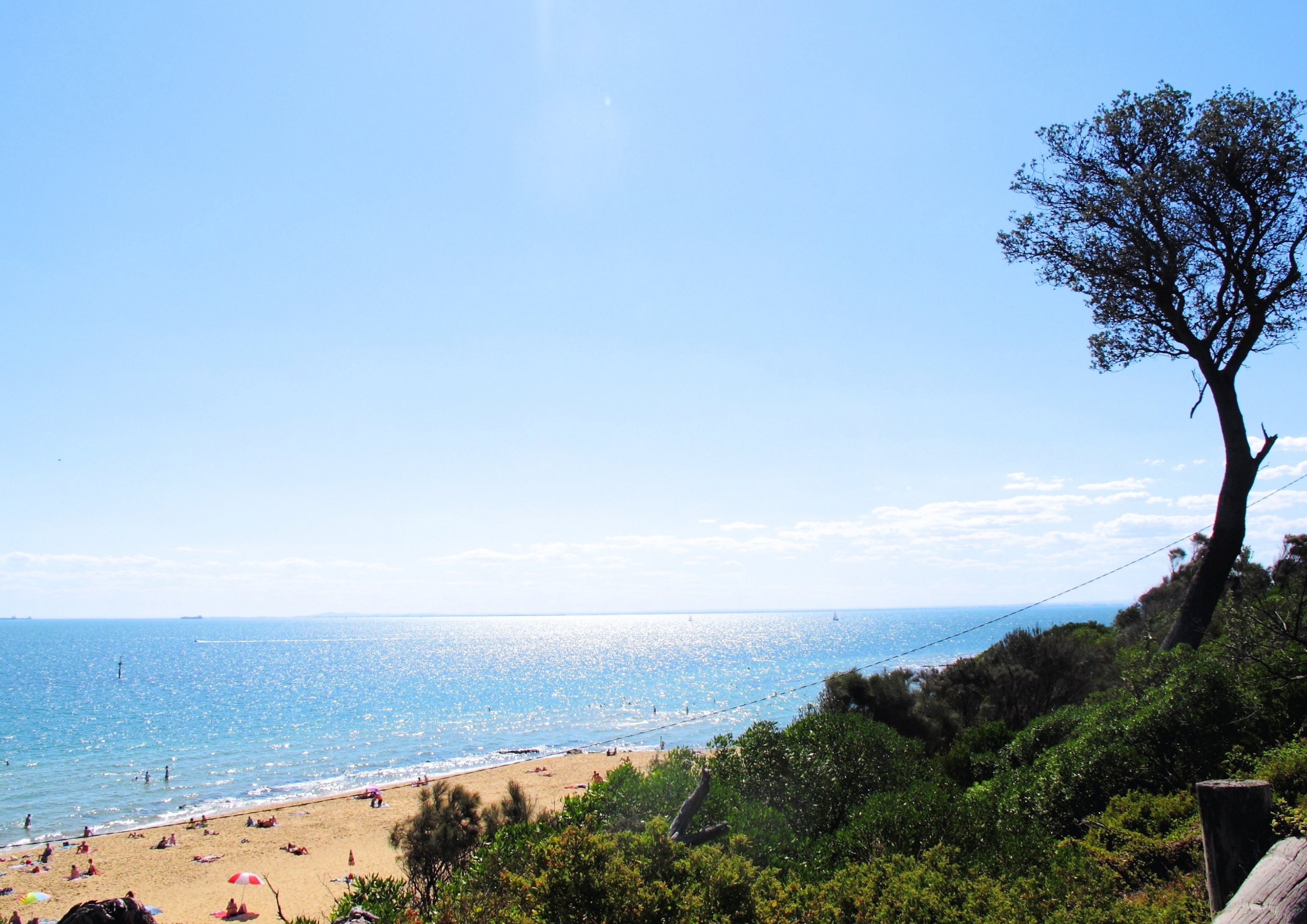 Ocean View Living