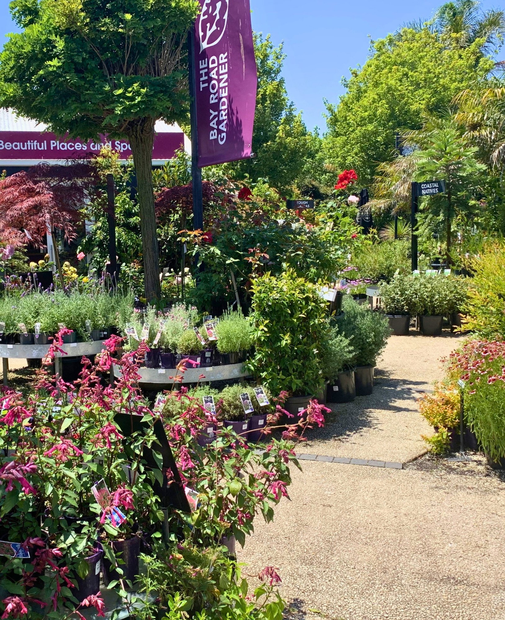 Bay Road Gardener