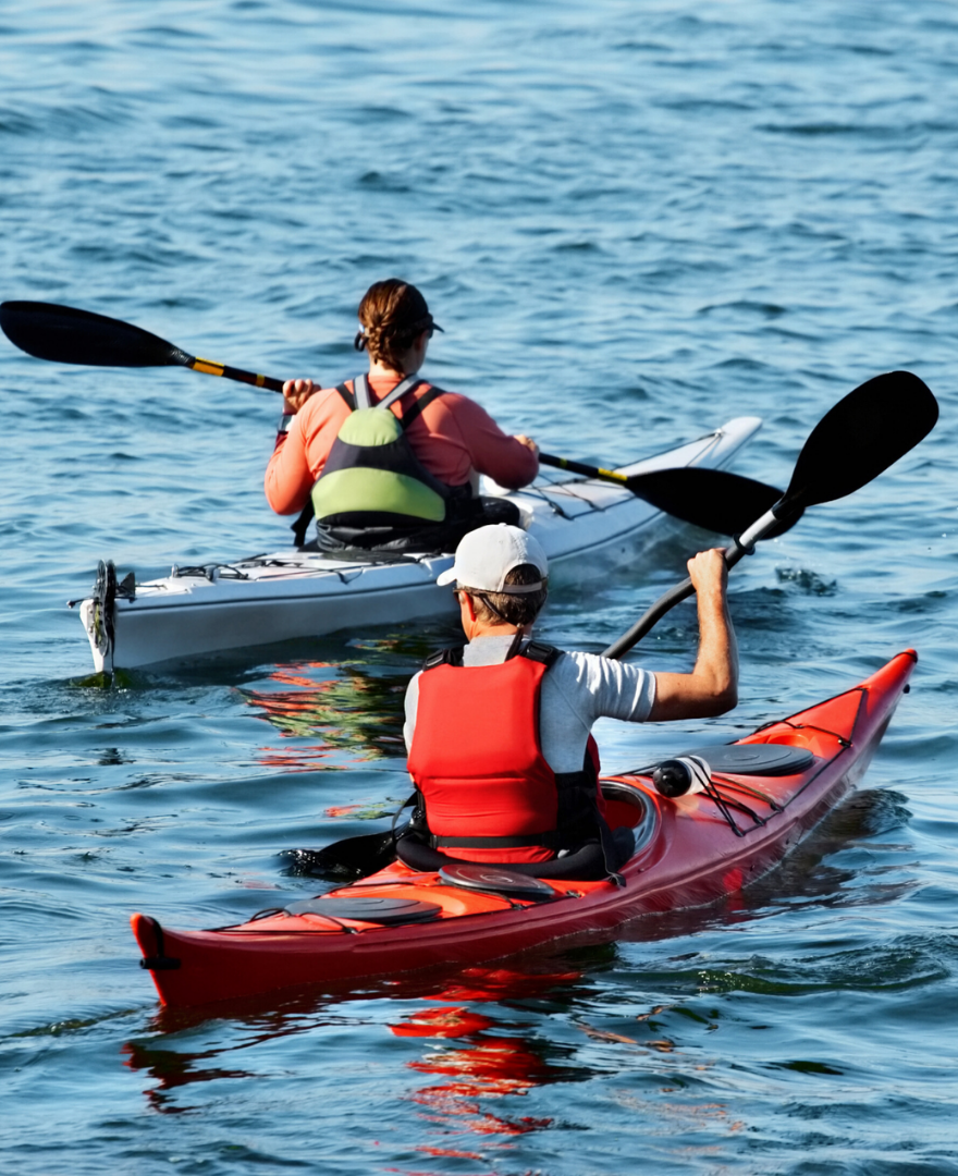 Sandringham Kayaking